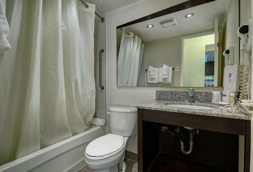סוויטה דלוקס, Town Inn Suites