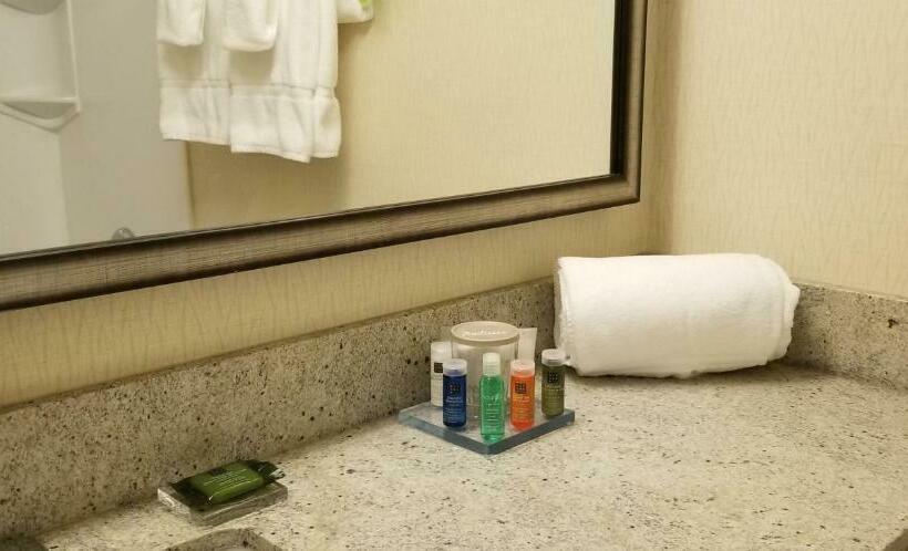 Номер Стандарт 2 Двуспальные Кровати, Radisson Hotel Sudbury