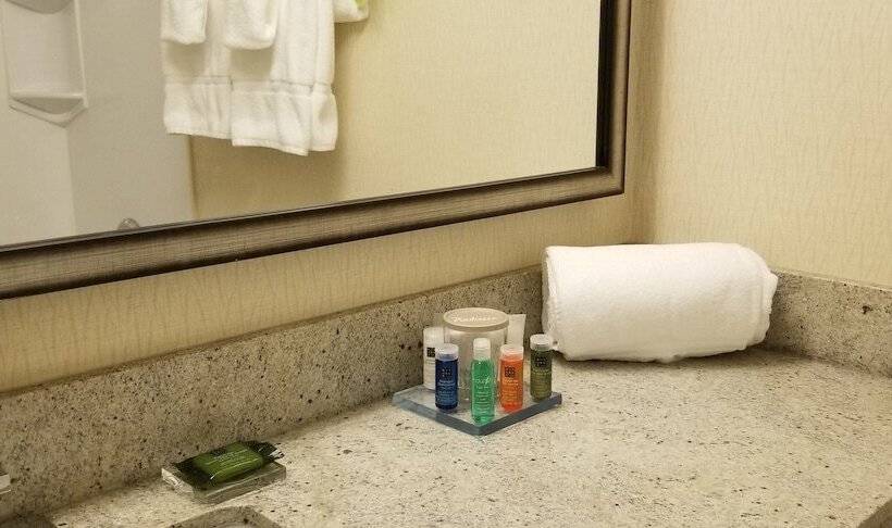 Номер Стандарт 2 Двуспальные Кровати, Radisson Hotel Sudbury