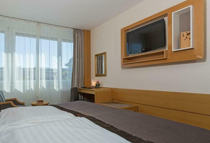 Номер Economy, Continental Hotel Lausanne