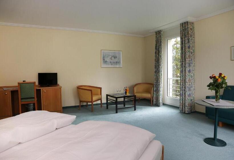 اتاق سوپریور, Derby Davos