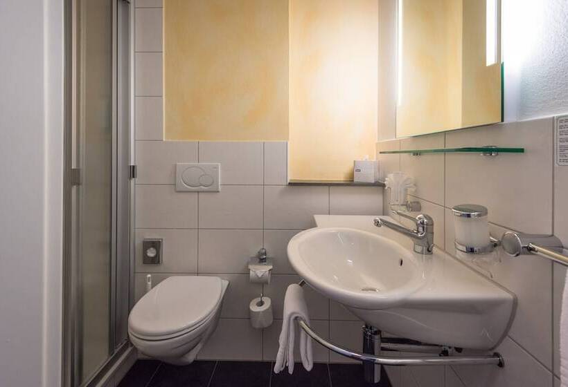 اتاق استاندارد یک نفره, Parkhotel Gunten – Beach & Spa