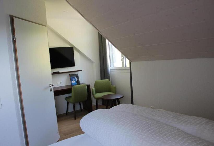 标准间带湖景, Seehotel Delphin