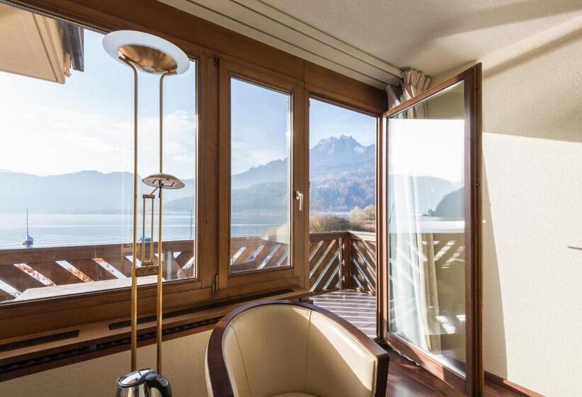 اتاق استاندارد با چشم‌انداز دریاچه, Seehotel Sternen