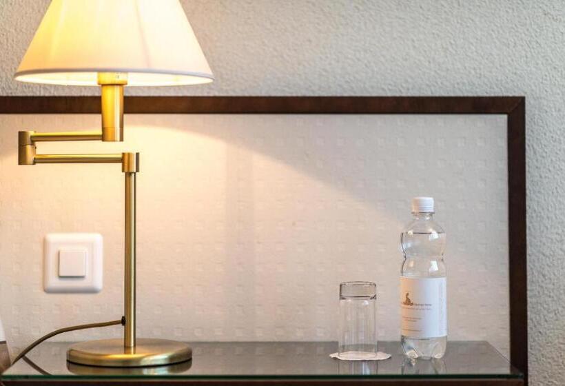 اتاق استاندارد با چشم‌انداز دریاچه, Seehotel Sternen