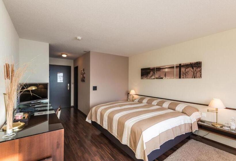 اتاق استاندارد با چشم‌انداز دریاچه, Seehotel Sternen
