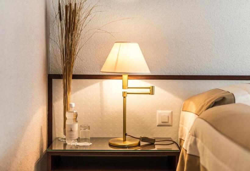 اتاق استاندارد با چشم‌انداز شهر, Seehotel Sternen