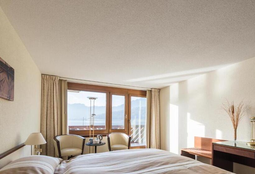 اتاق استاندارد یک نفره, Seehotel Sternen