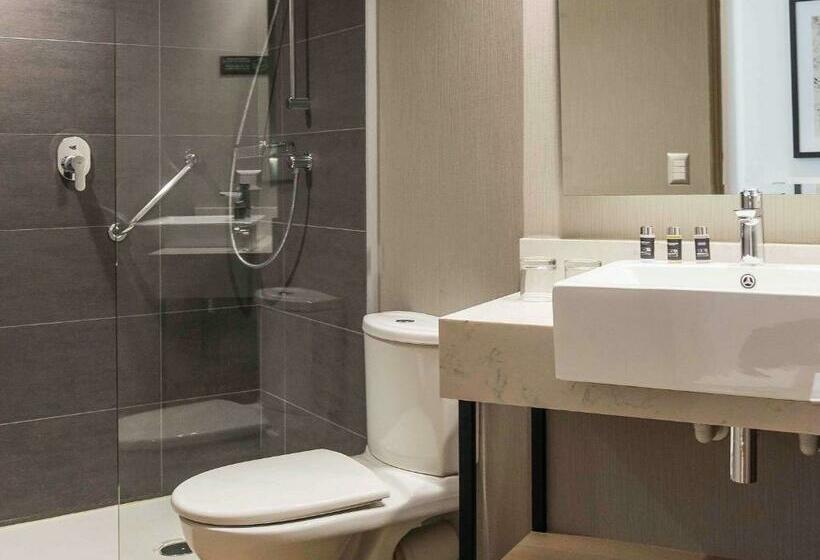 اتاق سوپریور, Pullman Vina Del Mar San Martín