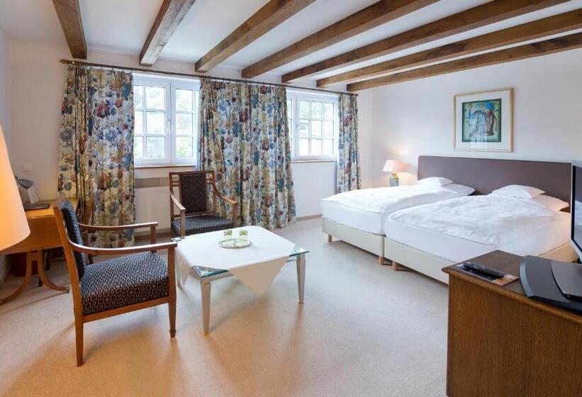 اتاق سوپریور, Romantik Waldhotel Mangold