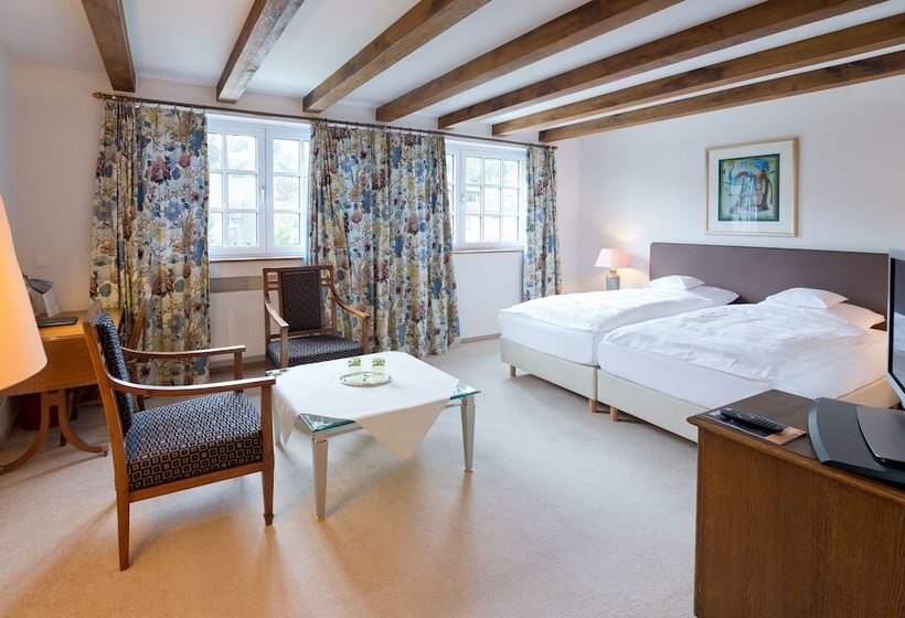 اتاق سوپریور, Romantik Waldhotel Mangold