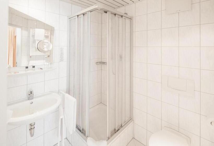 Номер Стандарт Индивидуальный, City Hotel Freiburg