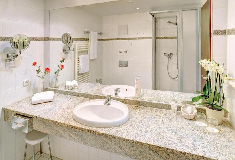 اتاق سوپریور یک تخته, Ringhotel Zweibruecker Hof