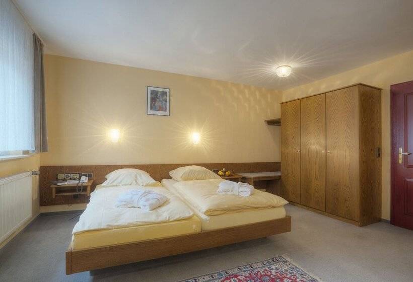 컴포트 싱글 룸, Waldhotel Sonnenberg