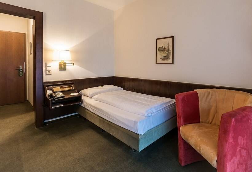 Номер Economy Индивидуальный, Parkhotel Frankfurt Rödermark