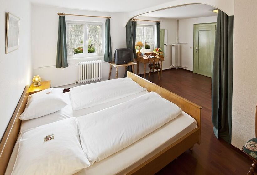 Номер Комфорт, Schiff Am Schluchsee