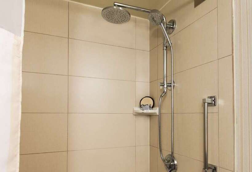 اتاق لوکس با تخت بزرگ, Conrad Dublin