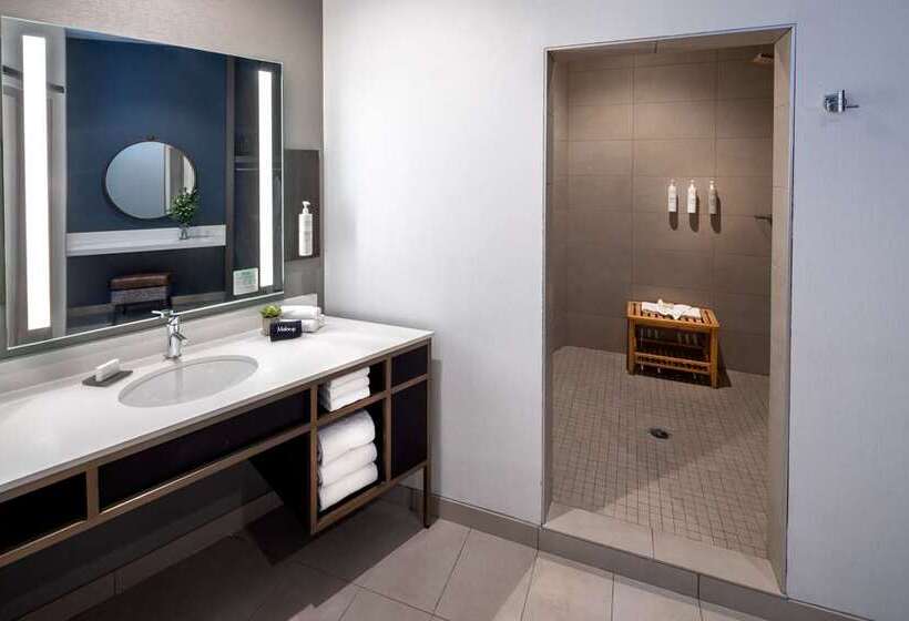 اتاق لوکس با تخت بزرگ, Conrad Dublin
