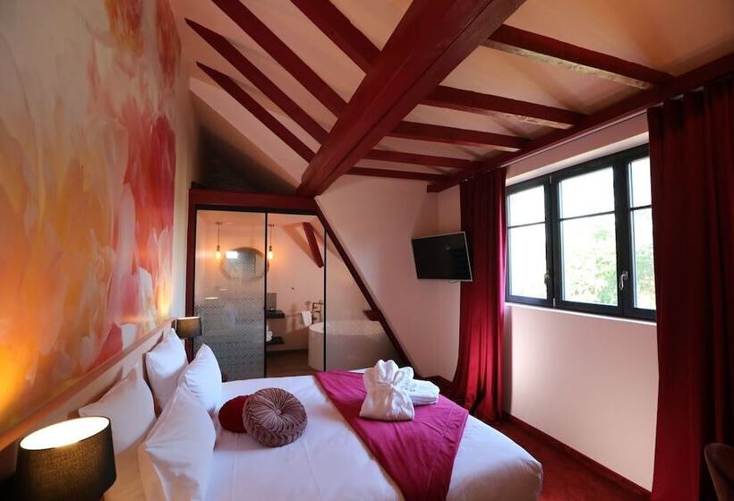 Номер Superior, Hôtel Spa Le Moulin De La Wantzenau   Strasbourg Nord