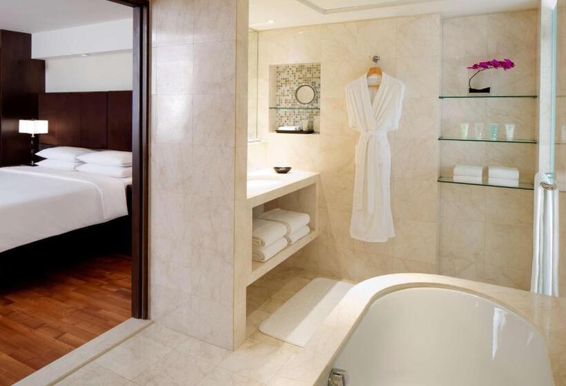 سوئیت با تخت بزرگ, Hyatt Regency Dubai   Corniche