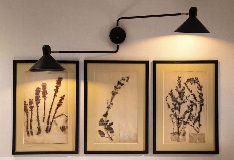 スタンダードシングルルーム, Maxim Quartier Latin