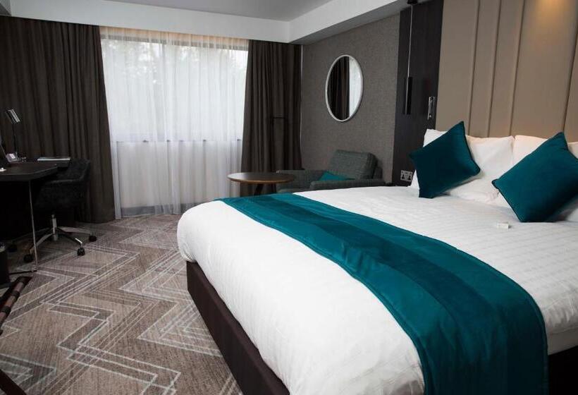 اتاق استاندارد, Crowne Plaza Basingstoke, An Ihg