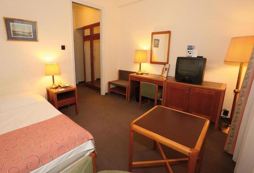اتاق استاندارد یک نفره, Danubius Hotel Raba