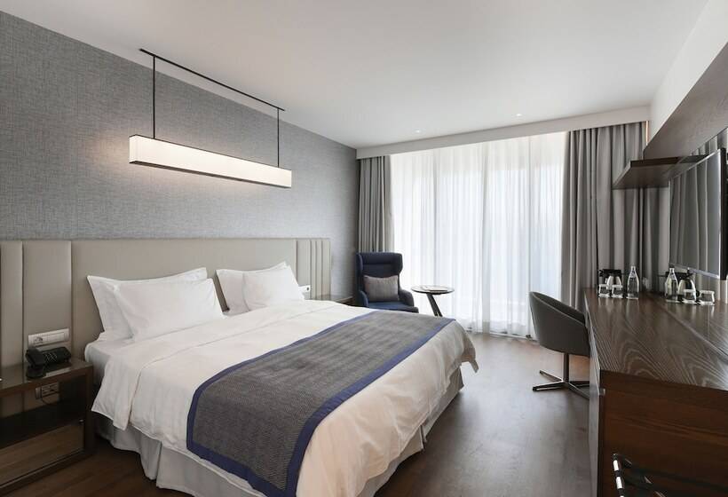 エクゼクティブルーム, Makedonia Palace
