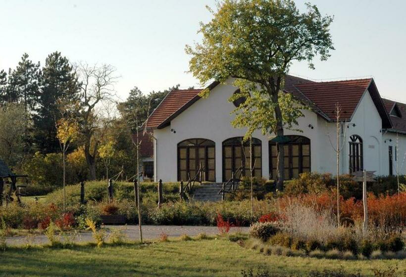 Номер Стандарт Трехместный, Sarlóspuszta Club