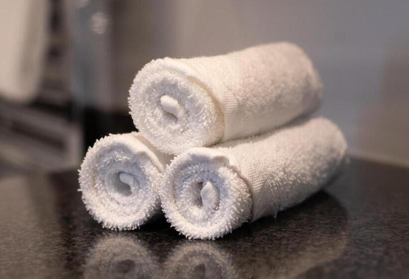 اتاق استاندارد, Swissôtel Amsterdam