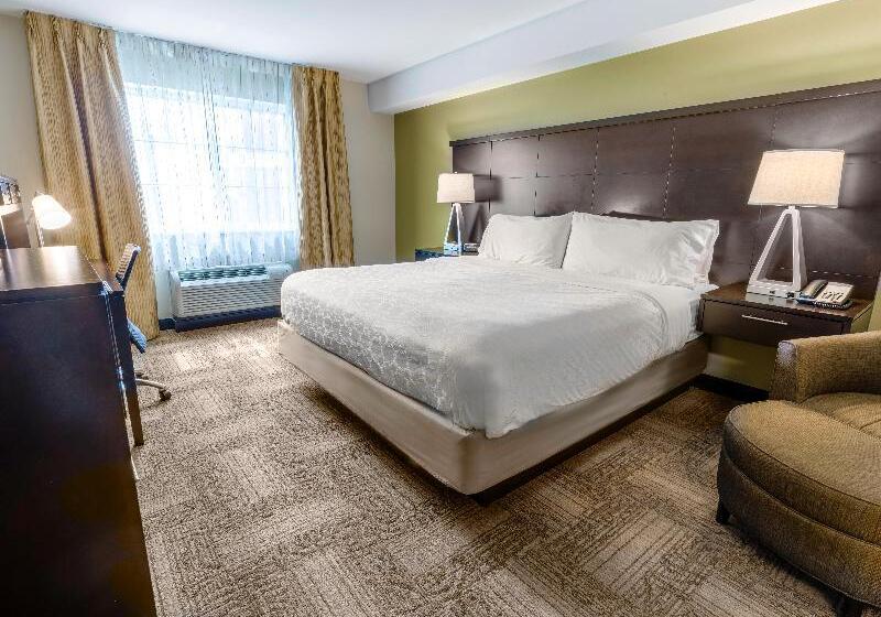 اتاق استاندارد, Best Western Plus Hotel Terraza