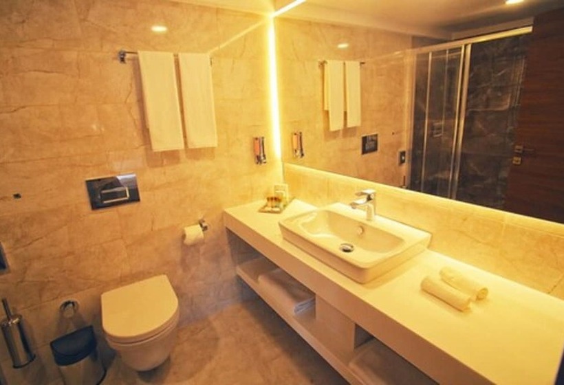 디럭스 룸, Bolu Koru Hotels Spa & Convention