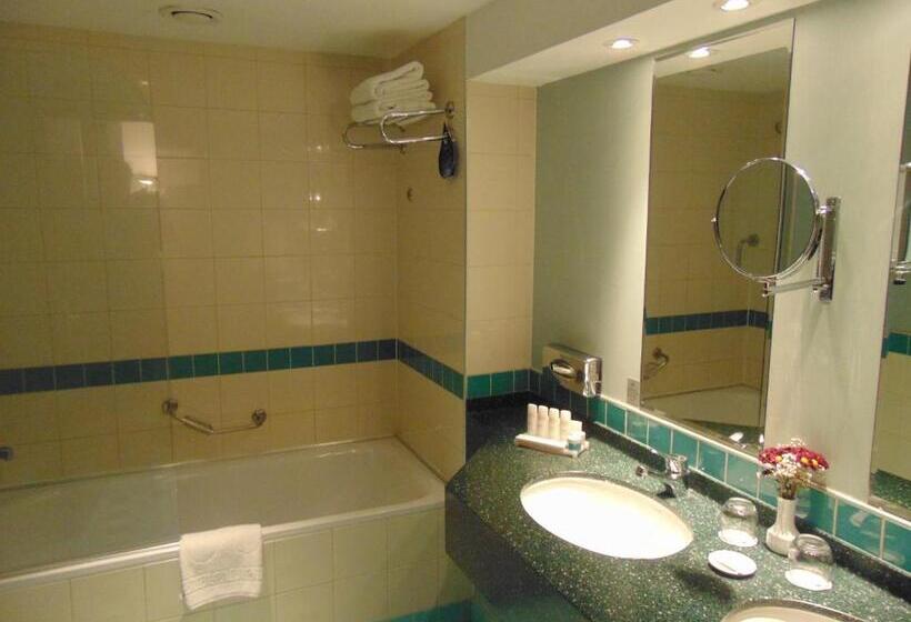 سوییت جونیور با چشم‌انداز شهر, Radisson Blu  Ankara