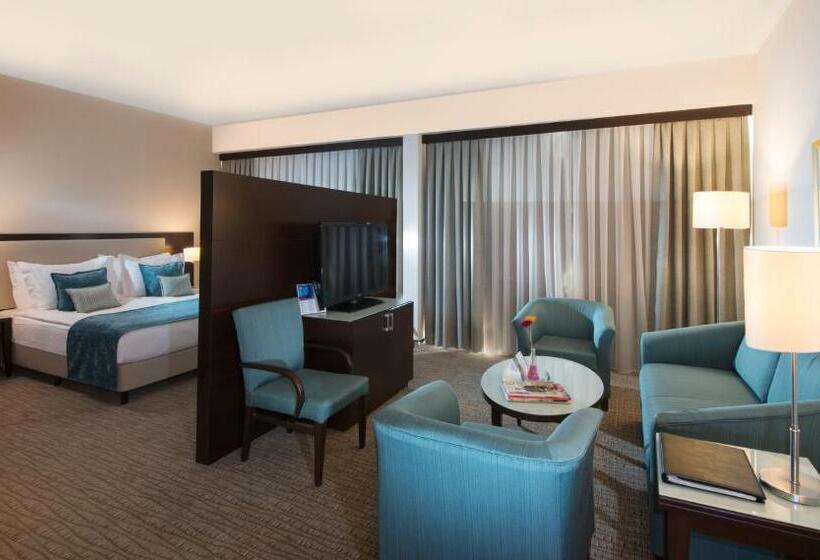 سوییت جونیور با چشم‌انداز شهر, Radisson Blu  Ankara