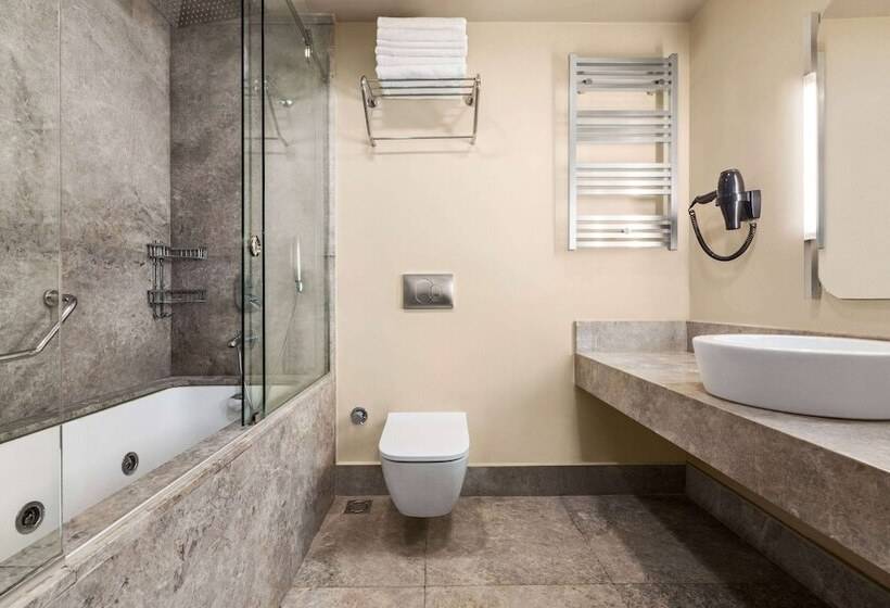 اتاق استاندارد برای معلولان, Ramada By Wyndham Istanbul Pera