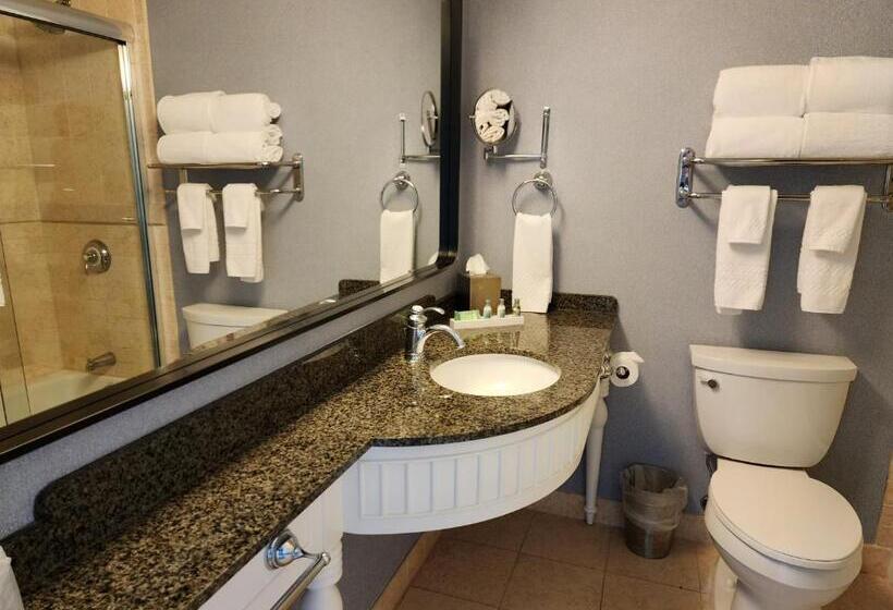 Номер Стандарт Вид на Бассейн, The Abbey Resort