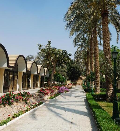 سوییت خانوادگی, Pyramids Resort by Jaz