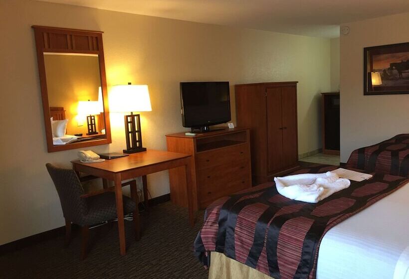 Номер Стандарт 2 Двуспальные Кровати, Best Western Plains Motel