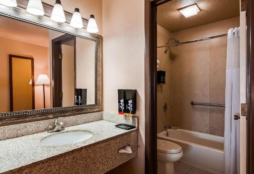 Номер Стандарт, Best Western Bidarka Inn
