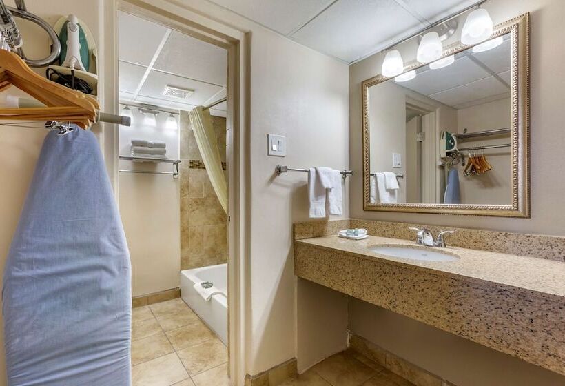 Номер Стандарт 2 Двуспальные Кровати, Best Western El Rancho Palacio