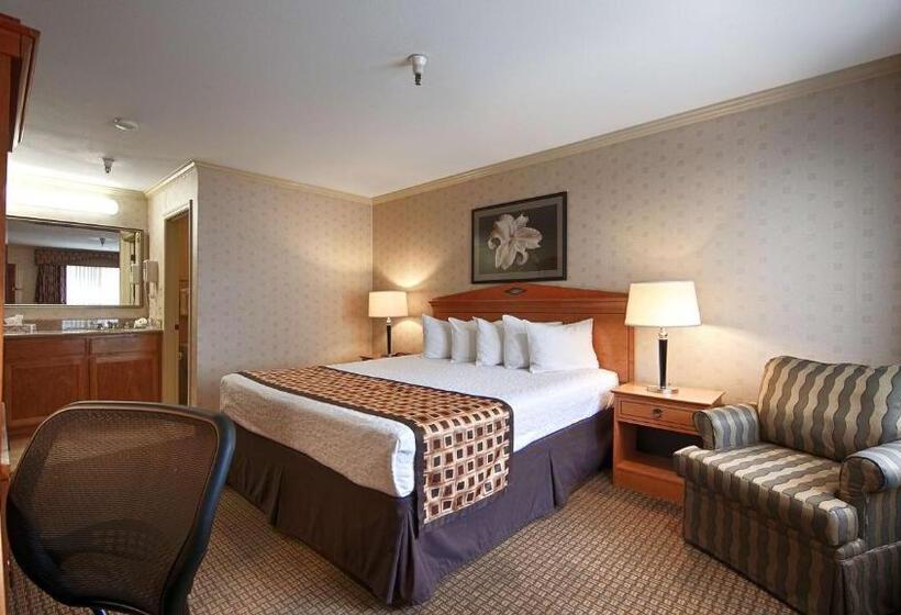 스탠다드 룸 킹사이즈 침대, Best Western Inn Santa Cruz