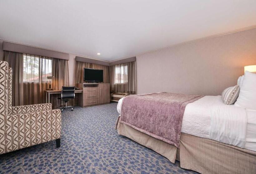 스탠다드 룸 킹사이즈 침대, Best Western Inn Santa Cruz