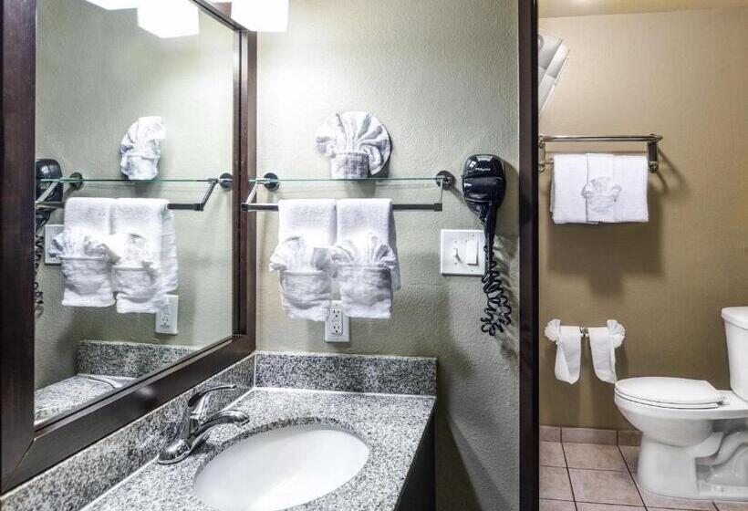 اتاق استاندارد, Best Western Mccarran Inn