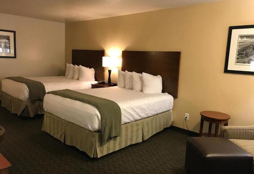 장애인을 위한 스탠다드 룸, Dinosaur Inn & Suites