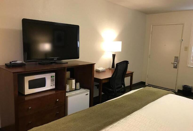스탠다드 룸 킹사이즈 침대, Dinosaur Inn & Suites