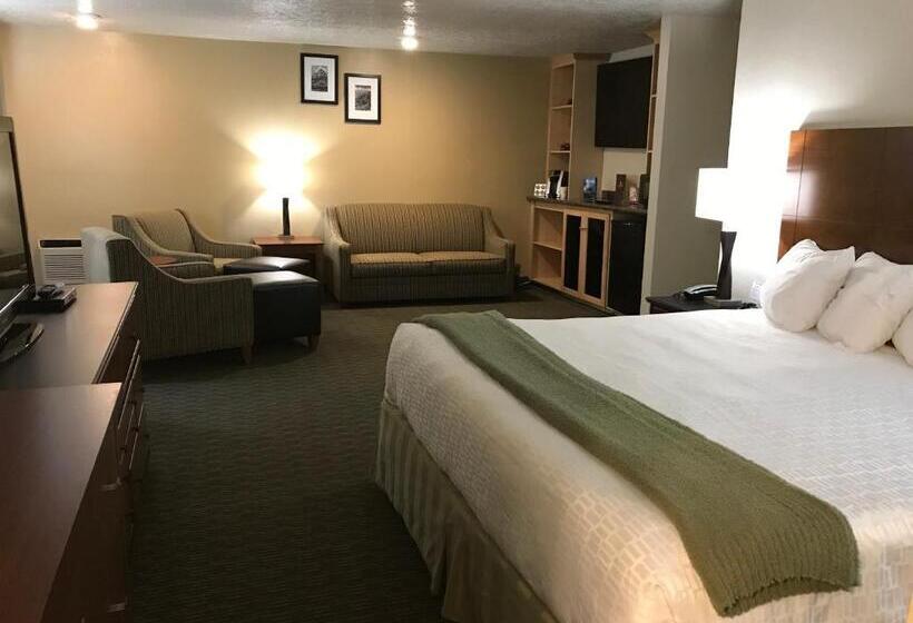 스위트 킹사이즈 침대, Dinosaur Inn & Suites