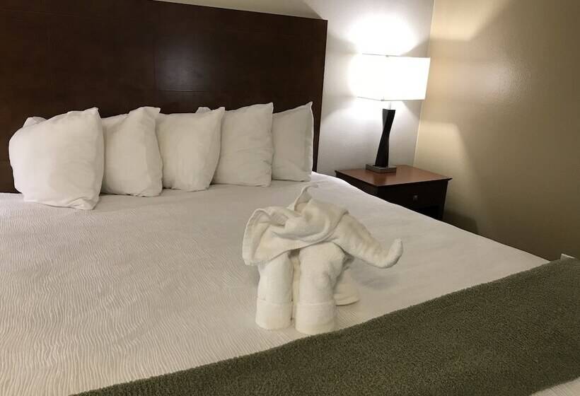 스탠다드 룸 킹사이즈 침대, Dinosaur Inn & Suites