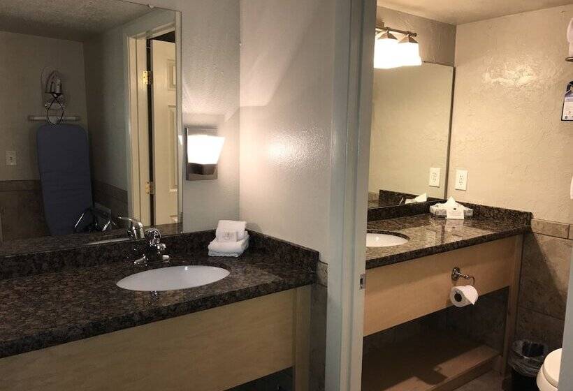 디럭스 룸, Dinosaur Inn & Suites