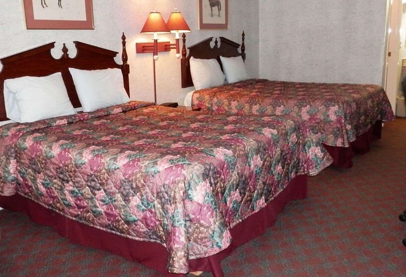 Номер Стандарт, Magnuson Hotel Fowlerville