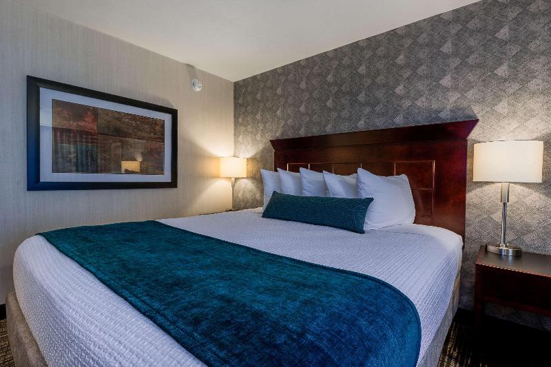 스탠다드 룸 킹사이즈 침대, Best Western Plus Carriage Inn